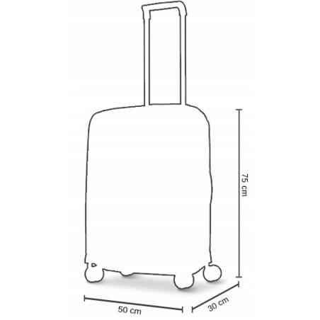 Walizka duża Wings L, Champagne 5398