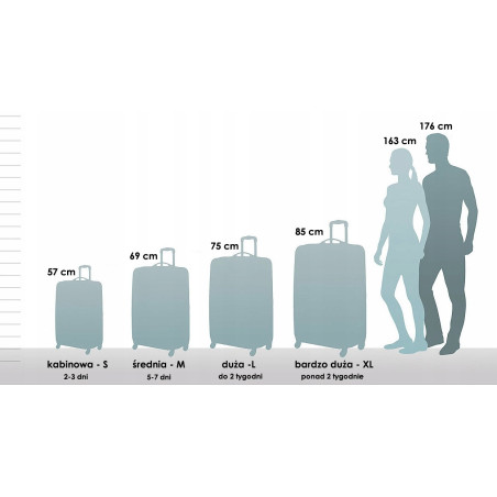 Walizka duża Wings L, Champagne 5398